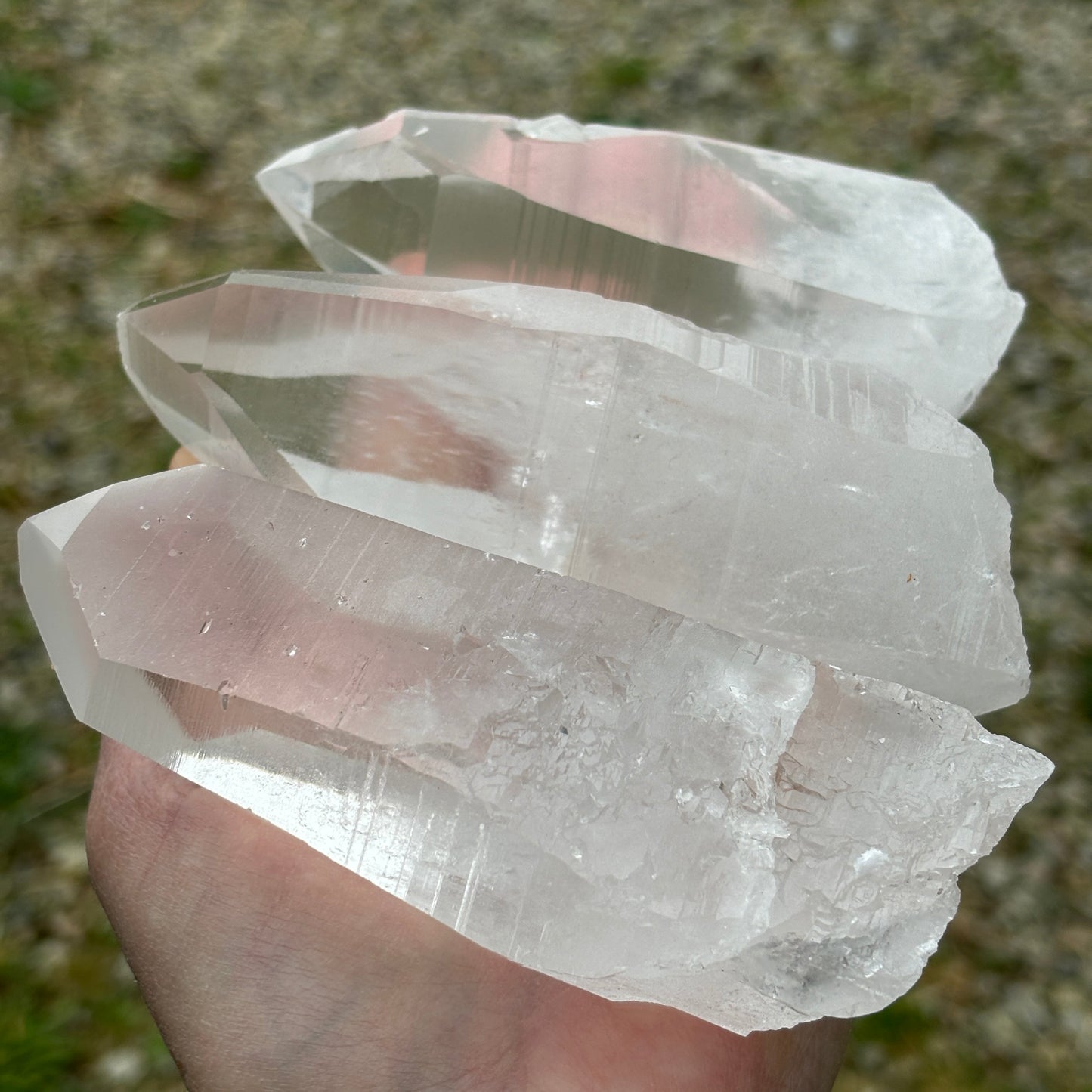 Brazilian Clear Lemurian Quartz from UK Wholesale Crystals