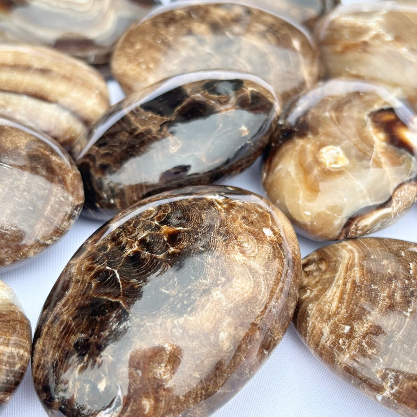 Chocolate Calcite Palmstones from UK Wholesale Crystals