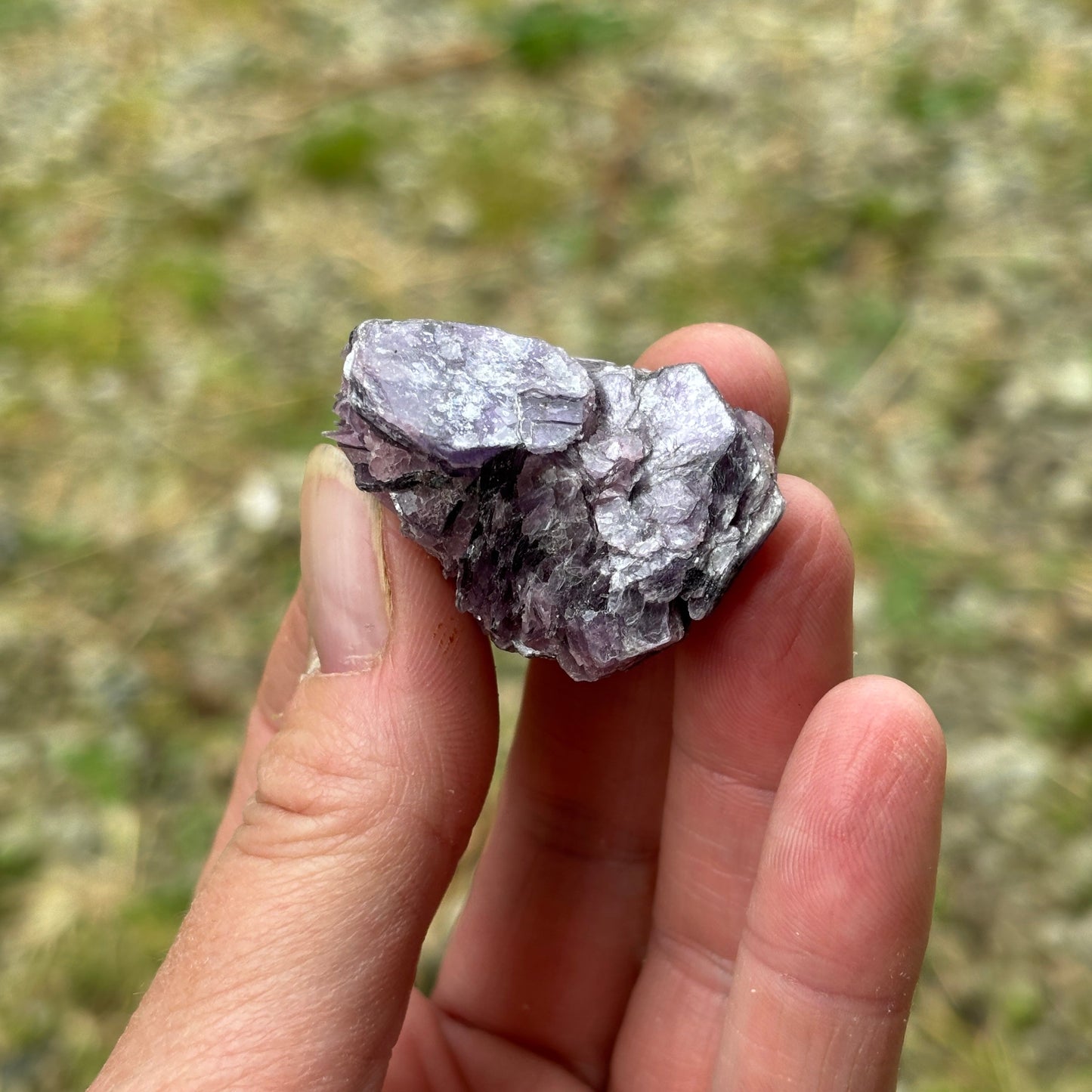 Lepidolite Raw Chunks Bundle 208g 7 Pieces from UK Wholesale Crystals