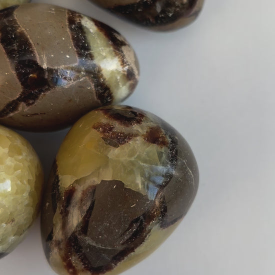 Septarian Eggs - UK Wholesale Crystals