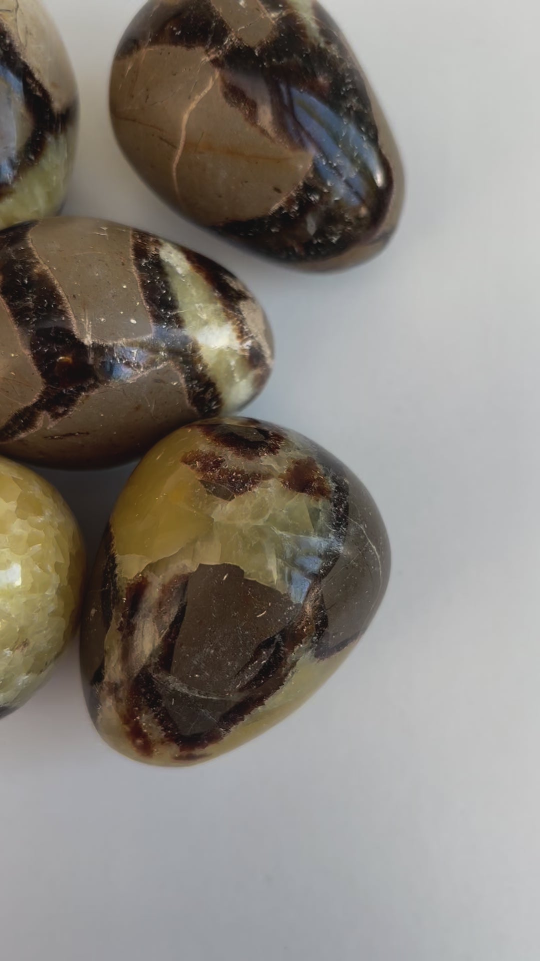 Septarian Eggs - UK Wholesale Crystals